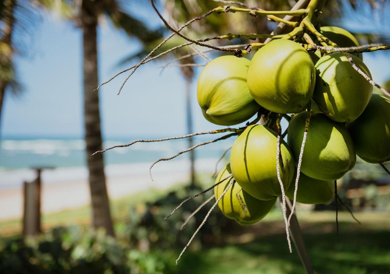 Flat Guarajuba Beira Da Praia Pe Na Areia 外观 照片